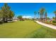 Scenic putting green surrounded by lush landscaping and mature palm trees at 3709 Citrus Heights Ave, North Las Vegas, NV 89081