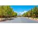 Beautiful street view with mature trees and manicured landscaping in a gated community at 3709 Citrus Heights Ave, North Las Vegas, NV 89081