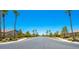 Street view with palm trees and well-maintained landscaping, showcasing the attractive and peaceful neighborhood at 3709 Citrus Heights Ave, North Las Vegas, NV 89081