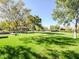Enjoy the outdoors in this community park with large green spaces and a covered picnic area at 6216 Pangea Ave, Las Vegas, NV 89139