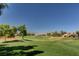 Scenic view of a golf course with mountain backdrop at 8805 Litchfield Ave, Las Vegas, NV 89134