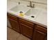 Double sink and wood cabinets in this kitchen at 2108 Buckeye Reef St, Henderson, NV 89002