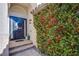 Front entrance with dark door and vibrant red plants at 5378 Pendini Point Ct, Las Vegas, NV 89141