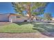 Landscaped backyard with grassy area at 256 Garfield Dr, Henderson, NV 89074