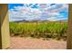 A backyard view of lush green landscaping, a brick patio, and beautiful mountain scenery in the distance at 12457 Heritage Bend Dr, Las Vegas, NV 89138