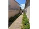 Brick pathway with landscaping leading to gate at 6306 Orions Belt Peak St, North Las Vegas, NV 89031