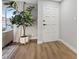 Entryway with light flooring and a large fiddle leaf fig plant at 7134 Grasswood Dr, Las Vegas, NV 89147