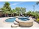 Relaxing pool and spa with palm trees and patio furniture at 156 Ozuna Ct, Las Vegas, NV 89183