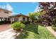 Landscaped backyard with grassy area and palm trees at 1788 Amarone Way, Henderson, NV 89012