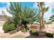 Landscaped backyard with hot tub and large tree at 1788 Amarone Way, Henderson, NV 89012