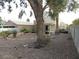 Spacious backyard with gravel, plants, and a large tree at 2662 Churchill Cir, Henderson, NV 89074