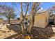 Backyard view showcasing mature trees and a patio area at 7608 Sea Wind Dr, Las Vegas, NV 89128