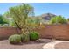 Landscaped backyard with stone pathway and mountain views at 9221 Black Lake Pl, Las Vegas, NV 89178