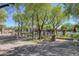 Relaxing community space with trees and seating at 9221 Black Lake Pl, Las Vegas, NV 89178