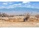 Stunning mountain views from the property at 3281 Mark Rd, Pahrump, NV 89060
