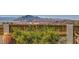 Scenic backyard view with wooden fence and lush greenery overlooking majestic mountains at 919 Havre Ave, Henderson, NV 89015