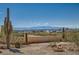 Landscaped desert backyard featuring local vegetation against a mountain range and city skyline at 919 Havre Ave, Henderson, NV 89015