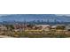 Neighborhood home featuring desert landscaping and solar panels against a city skyline and mountain backdrop at 919 Havre Ave, Henderson, NV 89015