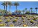 Landscaped entrance to the Ovation community with palm trees and cacti at 4829 E Beacon Ridge Dr, Pahrump, NV 89061