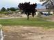 Residential home with a green lawn, mature trees, and vehicle parked in the driveway at 390 China St, Pahrump, NV 89048