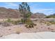 Landscaped backyard with desert landscaping and mountain views at 672 Los Feliz St, Las Vegas, NV 89110