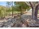 Landscaped area with mature trees and rocks at 672 Los Feliz St, Las Vegas, NV 89110