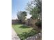 Beautifully maintained back yard area with trees at 12243 Pacific Cruise Ave, Las Vegas, NV 89138