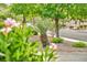 Neighborhood street view featuring lush landscaping and well-maintained lawns at 9321 January Dr, Las Vegas, NV 89134