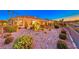 Landscaped backyard with a desert theme and a view at 1779 Sebring Hills Dr, Henderson, NV 89052