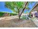 Backyard with large tree and stone border at 1510 Marita Dr, Boulder City, NV 89005