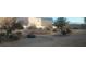 Landscaped common area with desert plants at 1529 Tillman Falls Ave, Las Vegas, NV 89183