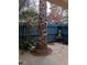 Private backyard oasis with mature palm trees and a blue fence at 4031 Gold Coast Dr, Las Vegas, NV 89121