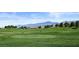 Green golf course putting green with mountain backdrop at 4380 E Brusca Way, Pahrump, NV 89061