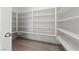 Large walk-in pantry with ample shelving at 595 Beverly Pine Pl, Henderson, NV 89011