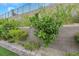 Landscaped retaining wall with lush greenery at 349 Agnew St, Las Vegas, NV 89138