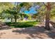 Community common area featuring a picnic shelter and trees overlooking the grass area at 4620 Clay Peak Dr, Las Vegas, NV 89129