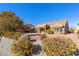 Backyard view of house with desert landscaping at 9921 Heyfield Dr, Las Vegas, NV 89134