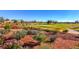 Landscaped golf course with homes in the background at 9921 Heyfield Dr, Las Vegas, NV 89134