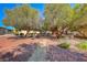 Landscaped garden area with a path and desert trees at 3024 Saint George St # H, North Las Vegas, NV 89030