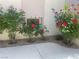 Home exterior with desert landscaping, featuring rock and concrete, with rose bushes at 2429 Anderson Park Dr, Henderson, NV 89044