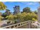 Balcony view of a pool and lush landscaping, surrounded by mature trees at 656 Tam O Shanter, Las Vegas, NV 89109