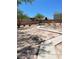 Landscaped backyard with walkway and desert plants at 925 Felix Palm Ave, North Las Vegas, NV 89032