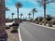 Landscaped entrance to community with palm trees at 2254 Cold Canyon Ave, North Las Vegas, NV 89086