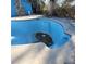 Close-up view of a blue pool with debris at 3011 Liberty Cir, Las Vegas, NV 89121