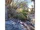 Backyard with overgrown vegetation and a retaining wall at 3011 Liberty Cir, Las Vegas, NV 89121