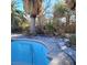 Pool needing some TLC with palm trees nearby at 3011 Liberty Cir, Las Vegas, NV 89121