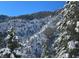 Snow-covered mountainside with evergreen trees under a clear sky at 4765 Silver Tip Trl, Mount Charleston, NV 89124