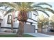 House exterior showcasing landscaping and palm trees at 7409 Flat Rock St, Las Vegas, NV 89131