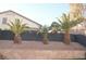 Landscaped backyard with three palm trees at 7409 Flat Rock St, Las Vegas, NV 89131