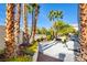 Landscaped backyard with gravel and palm trees at 1717 Imperial Cup Dr, Las Vegas, NV 89117